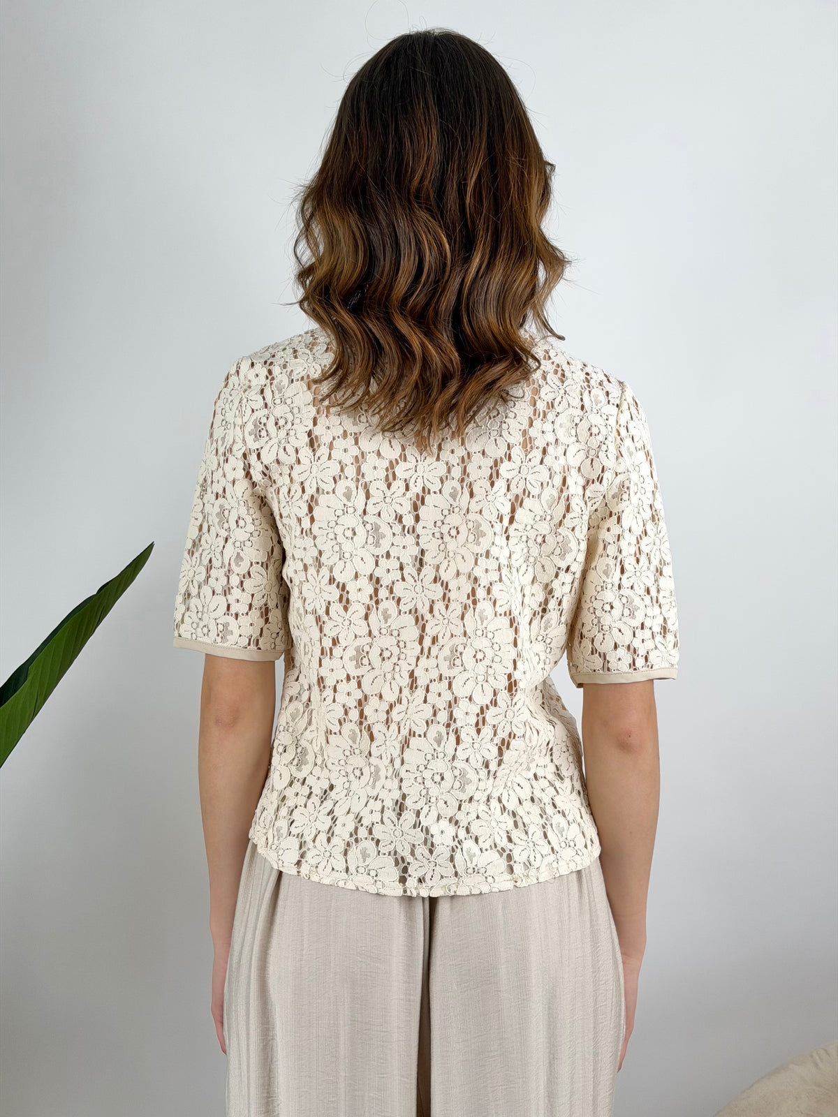 HAVEONE - GIACCHINA PIZZO